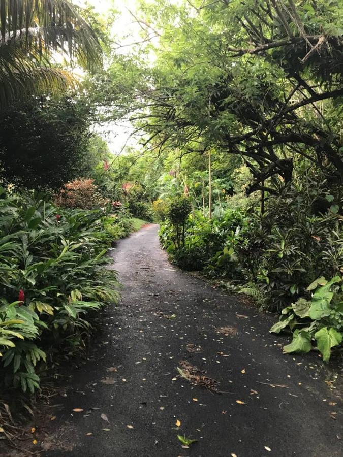 Tropical Garden Self Catering Villa Victoria Exteriör bild