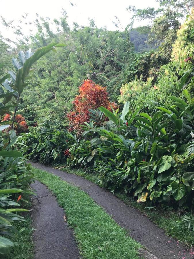 Tropical Garden Self Catering Villa Victoria Exteriör bild
