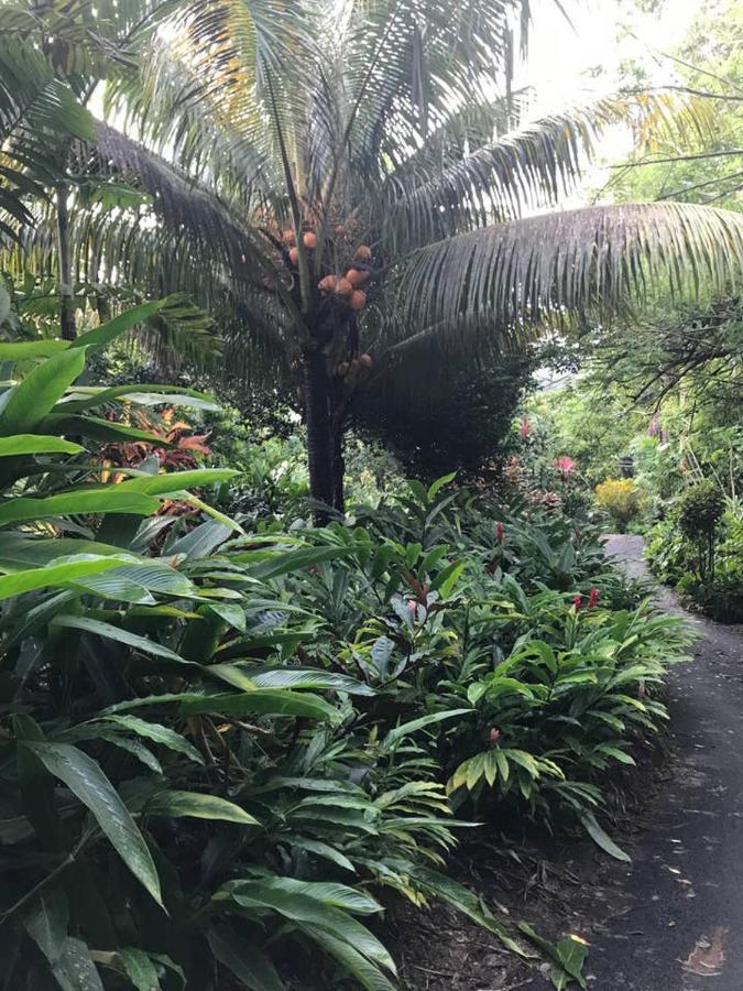 Tropical Garden Self Catering Villa Victoria Exteriör bild
